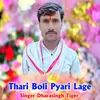 About Thari Boli Pyari Lage Song